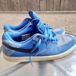 Nike Dunks Low